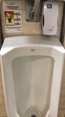 Toilette Bali 2-image